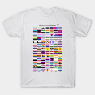 lgbtqia+ pride flags in Spanish T-Shirt